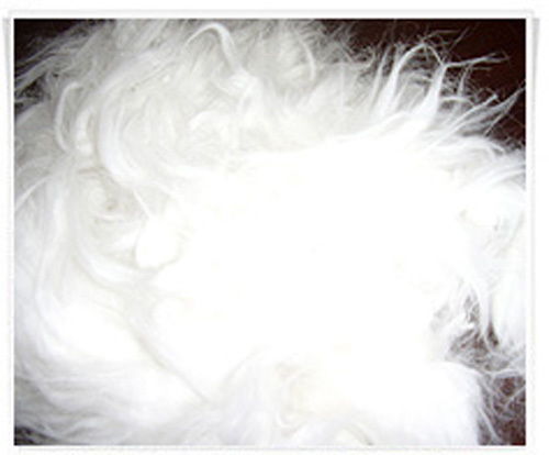 绒毛,兔毛,兔绒,羊毛,羊绒,中粗兔毛,白山羊毛,山羊绒公司